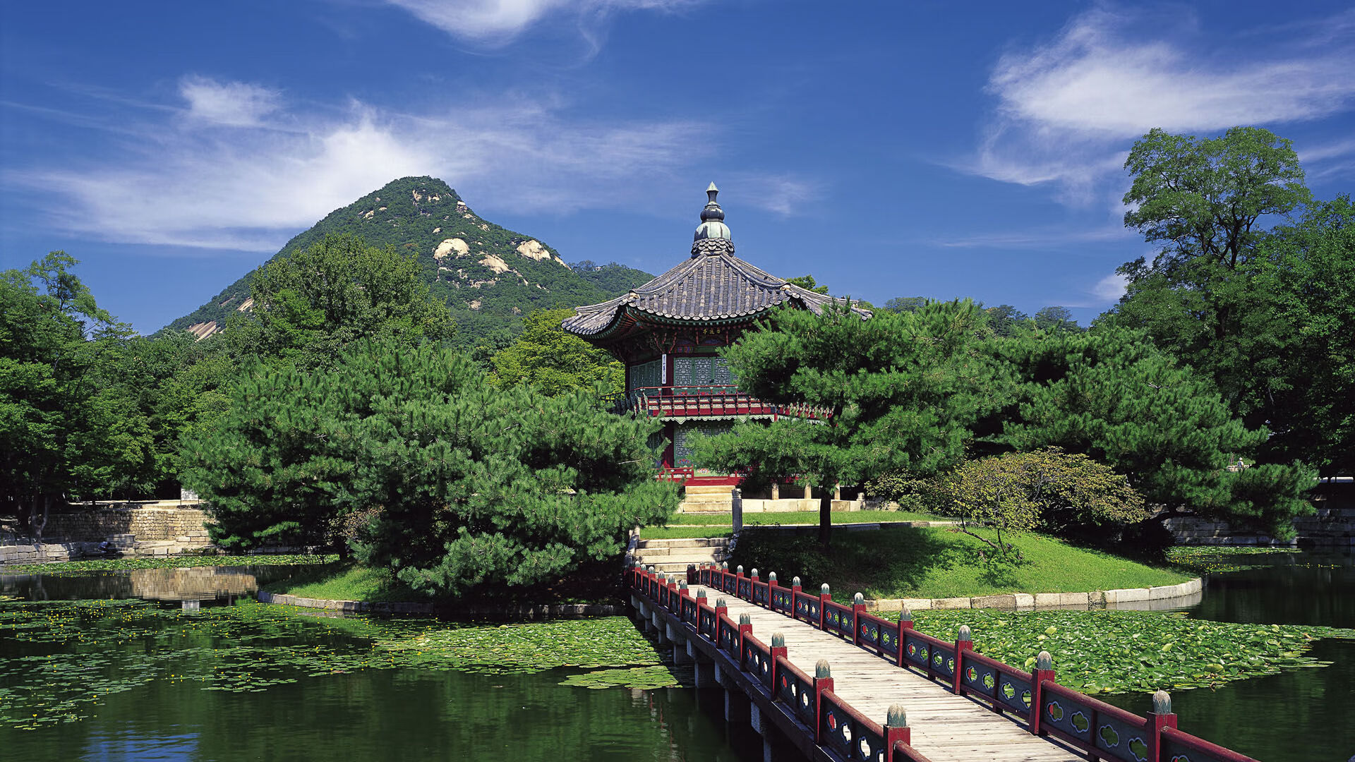 新闻中心召开年度总结大会，年度总结大会新闻稿