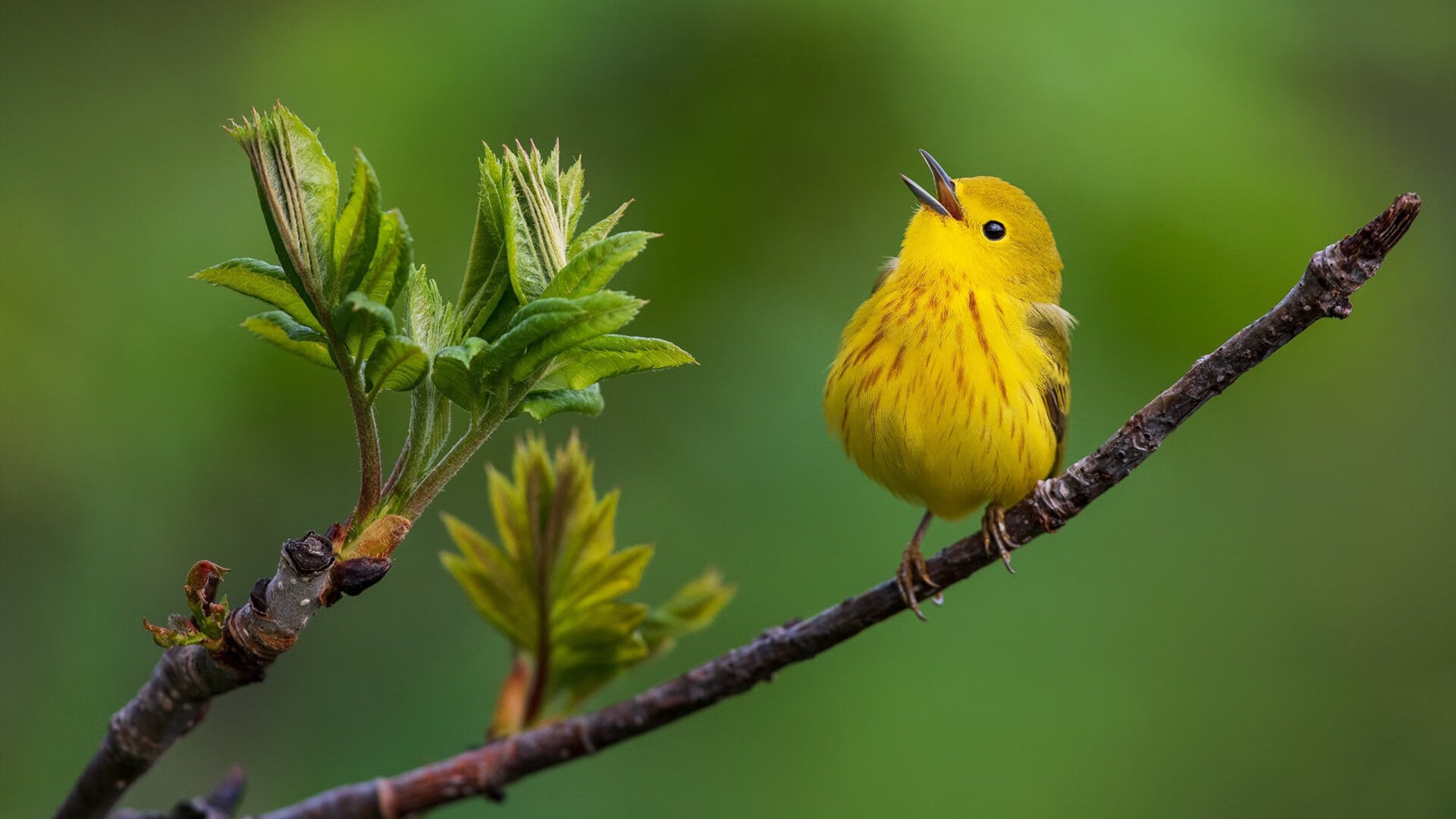 足球梯队人才输送机制逐步成熟，足球人才选拔机制