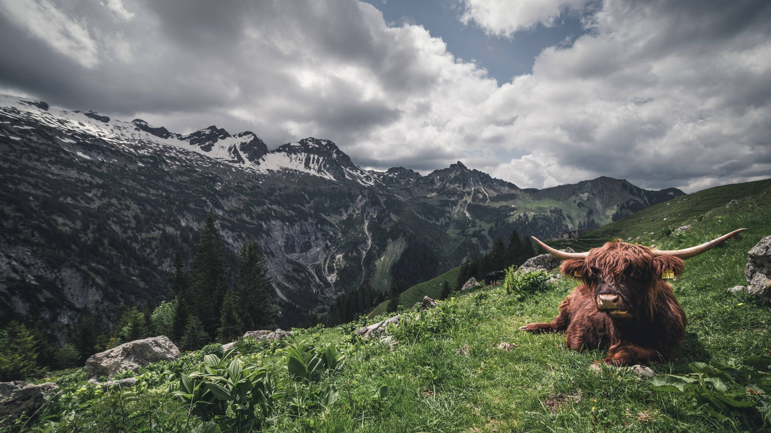 足球联赛战术创新助力球队突破，足球创新玩法