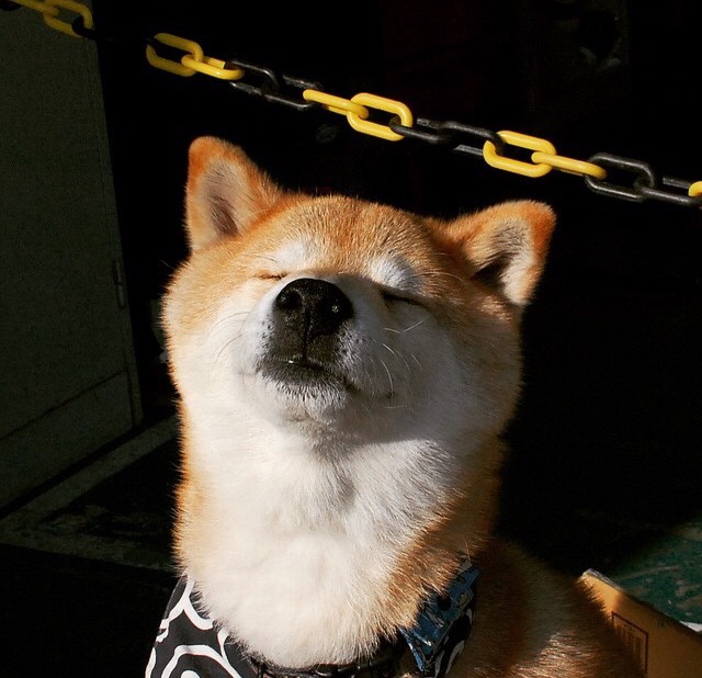 九游娱乐登录-伤病名单公布主力缺席或将影响接下来的三场比赛，伤病球员