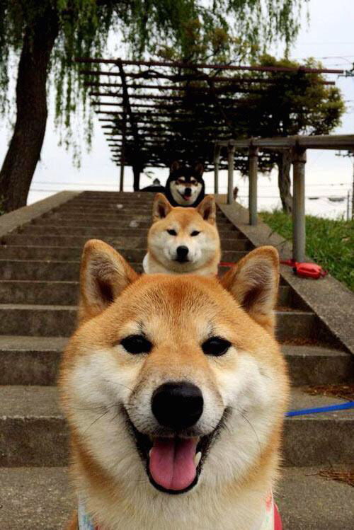 国家队控卫多样化训练应对不同战术体系挑战，国家队控球后卫排名