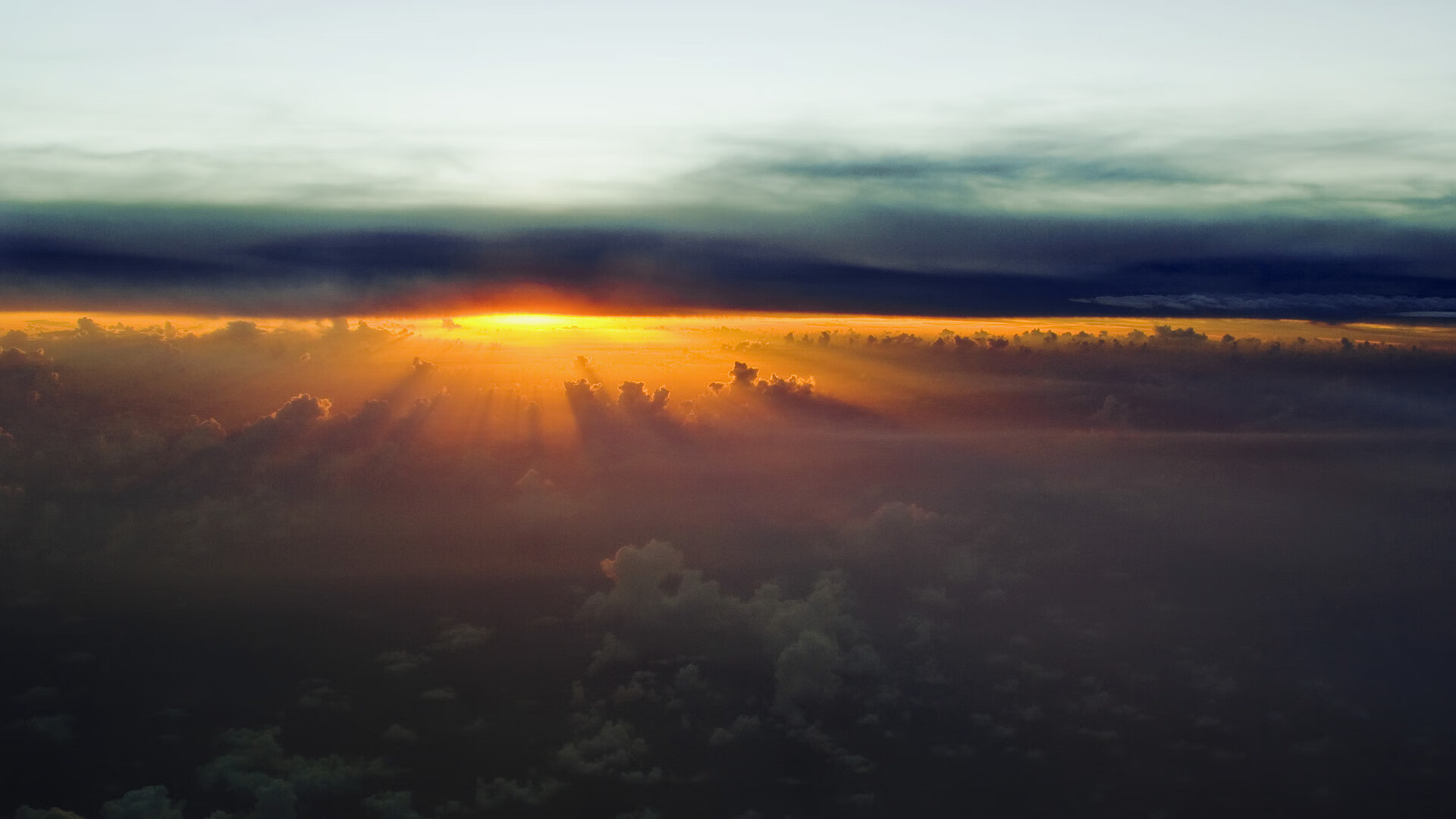 奥卡拉汉女子100米自由泳决赛亮点纷呈，奥运女子100米自由泳决赛